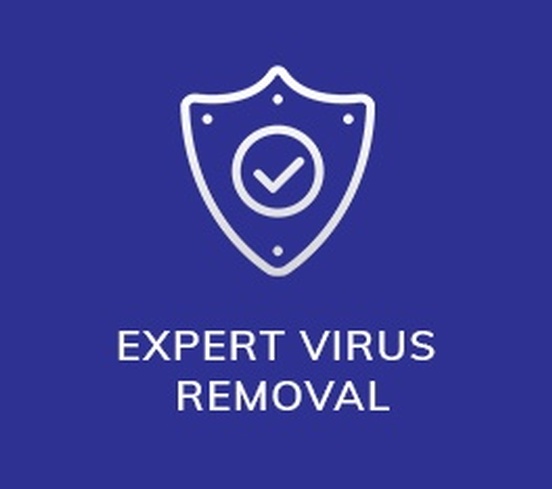 expert virus removal